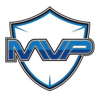 Team Vitality